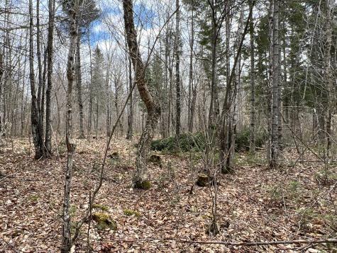 387 Monument Road Amity ME 04471