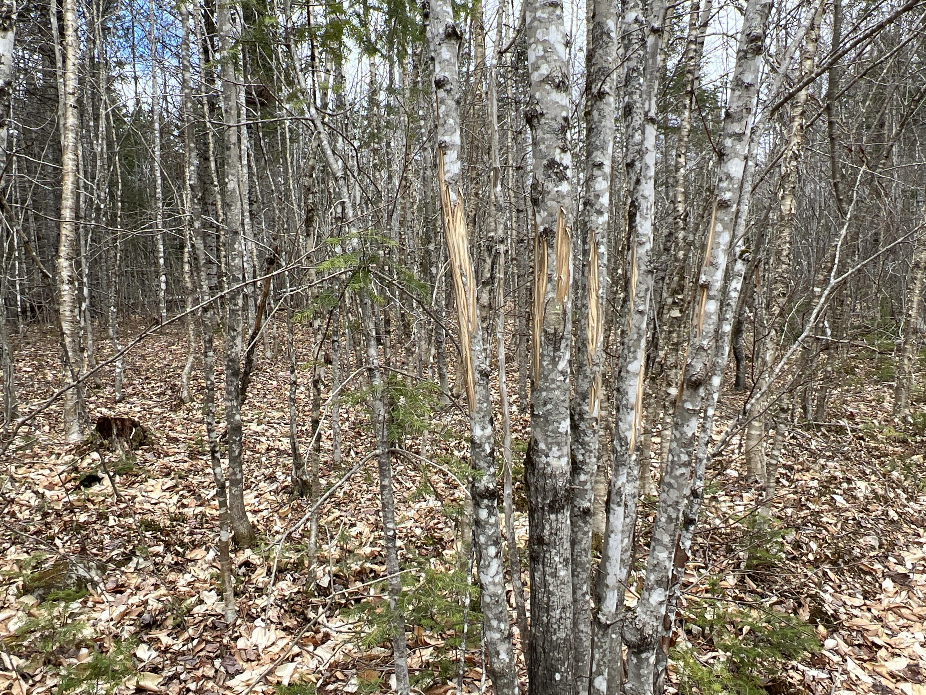 387 Monument Road Amity ME 04471