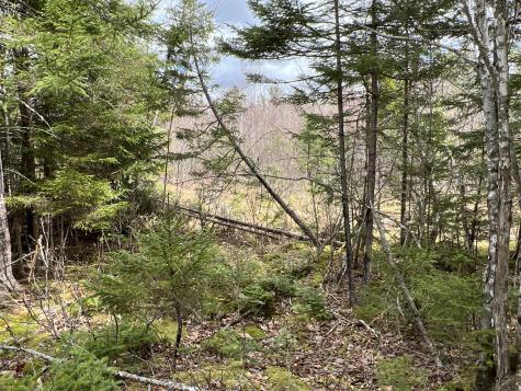 387 Monument Road Amity ME 04471