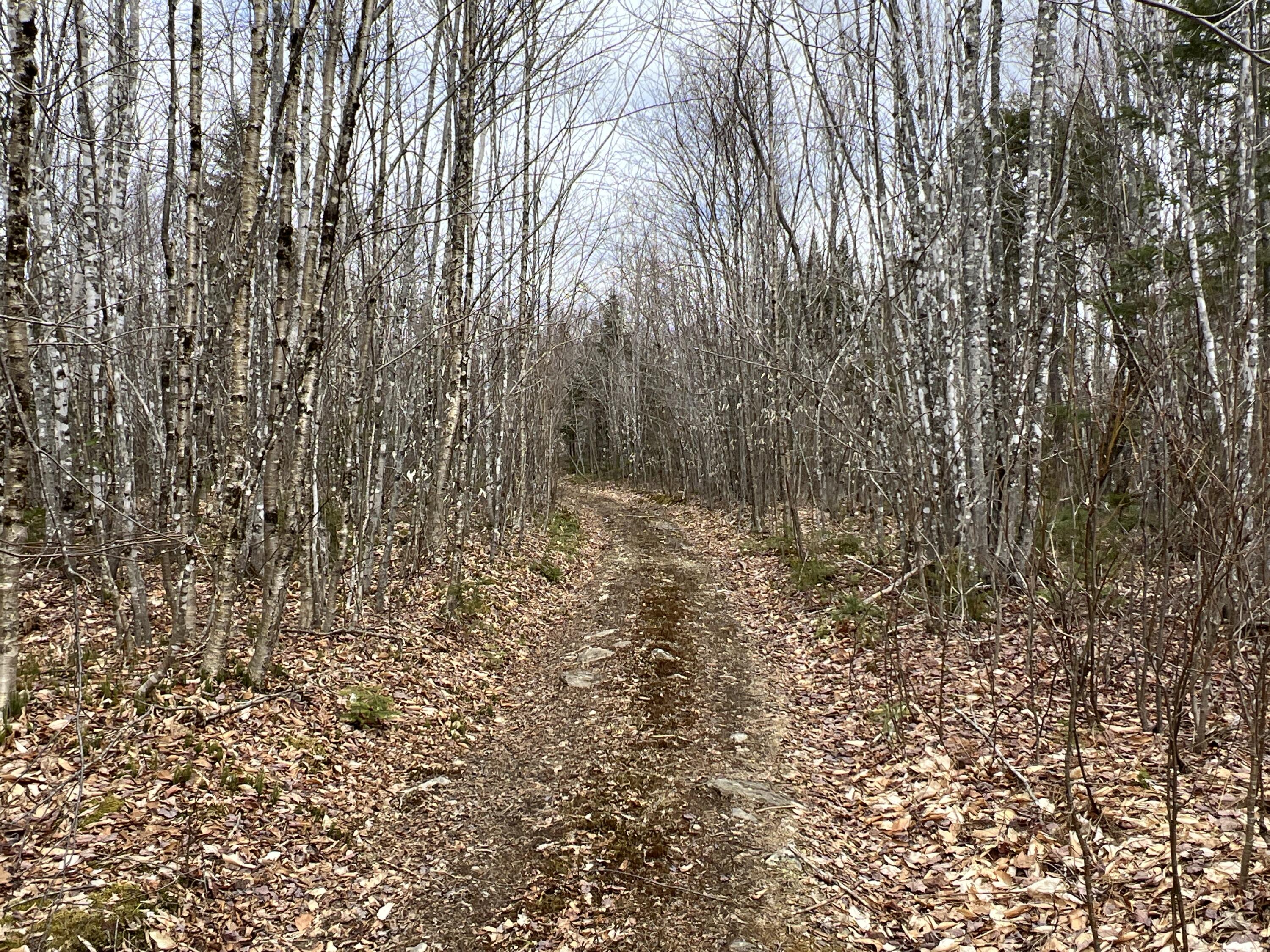 387 Monument Road Amity ME 04471