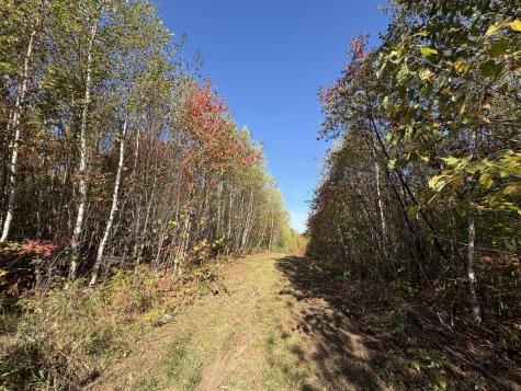 Off Lord Brook Road Grand Falls Twp ME 04418