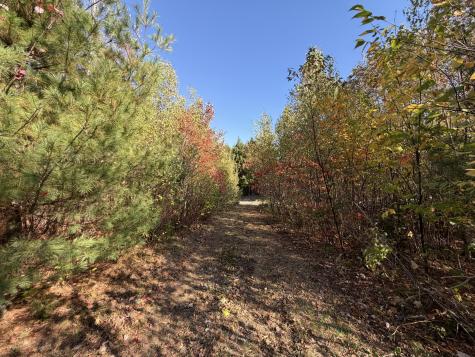 Off Lord Brook Road Grand Falls Twp ME 04418