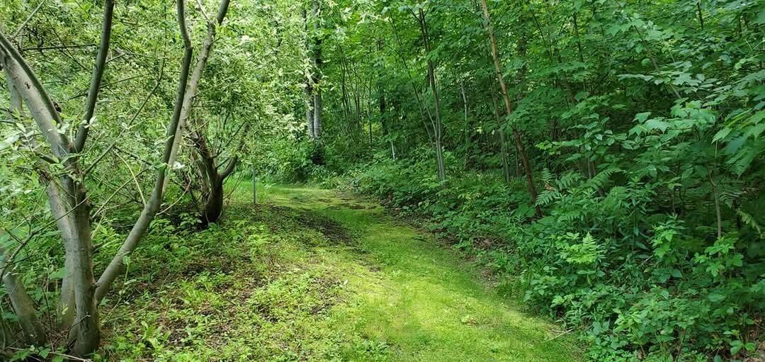 29 Crossing Brook Drive Buxton ME 04093