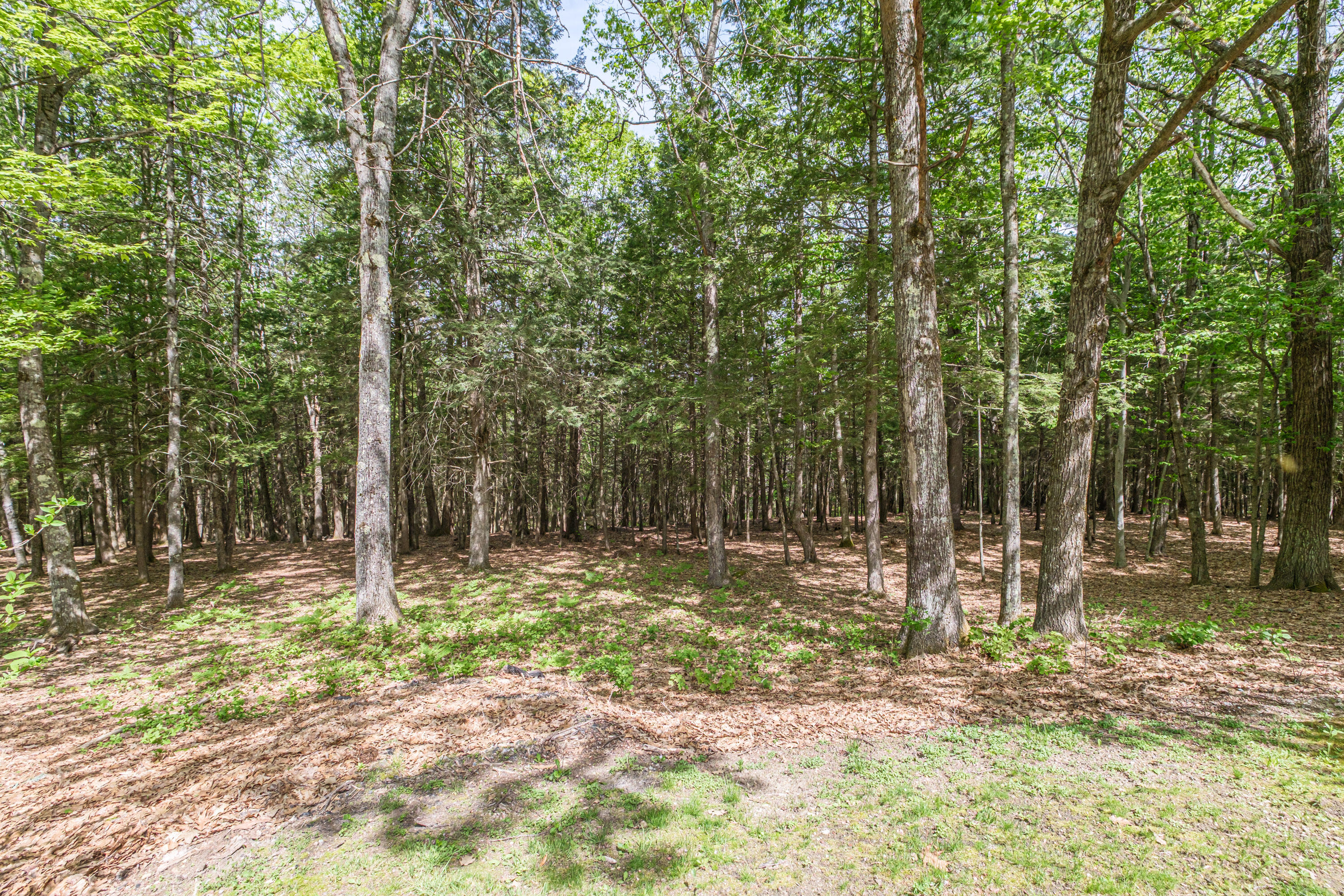 64 Summit Road Gray ME 04039