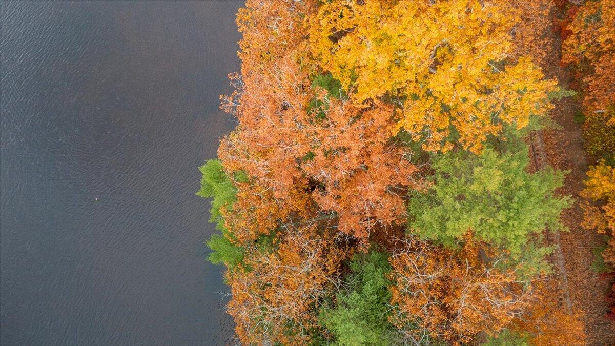 93 Station Lane Warren ME 04864