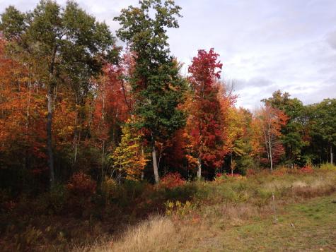 Lot #6 424 Hobbs Farm Road Wells ME 04090