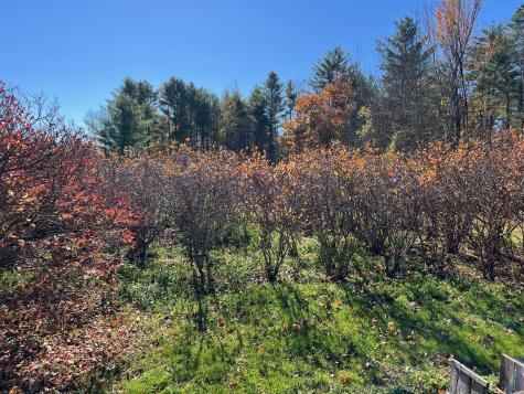 86 North Road Detroit ME 04929