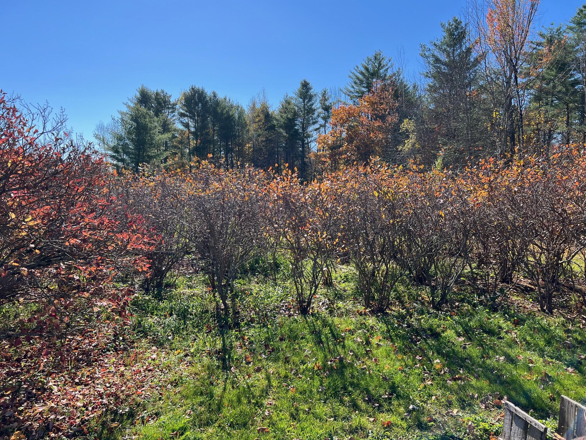 86 North Road Detroit ME 04929