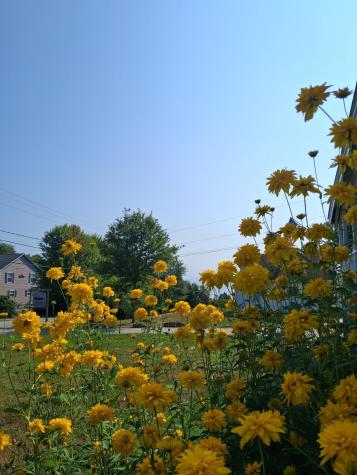 5 Penniman Road Bristol ME 04554