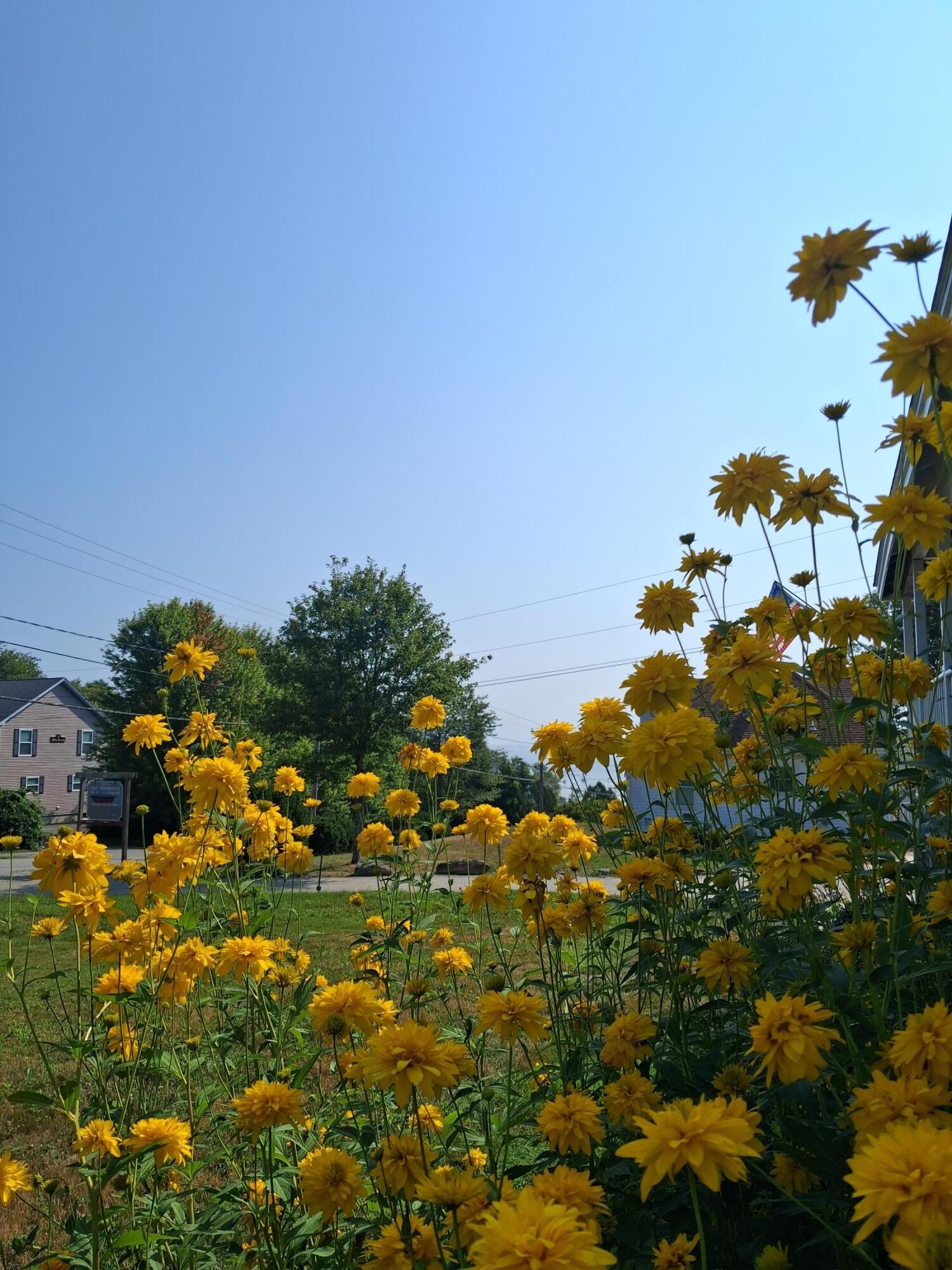 5 Penniman Road Bristol ME 04554