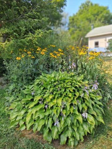 5 Penniman Road Bristol ME 04554