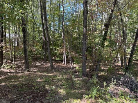 8 Patricia Avenue Raymond ME 04071