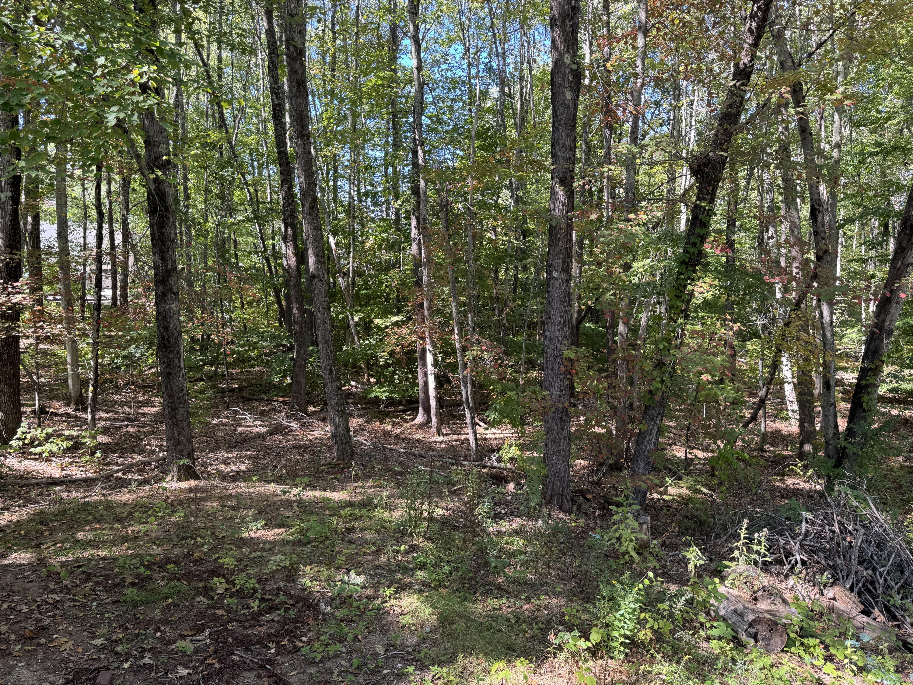 8 Patricia Avenue Raymond ME 04071