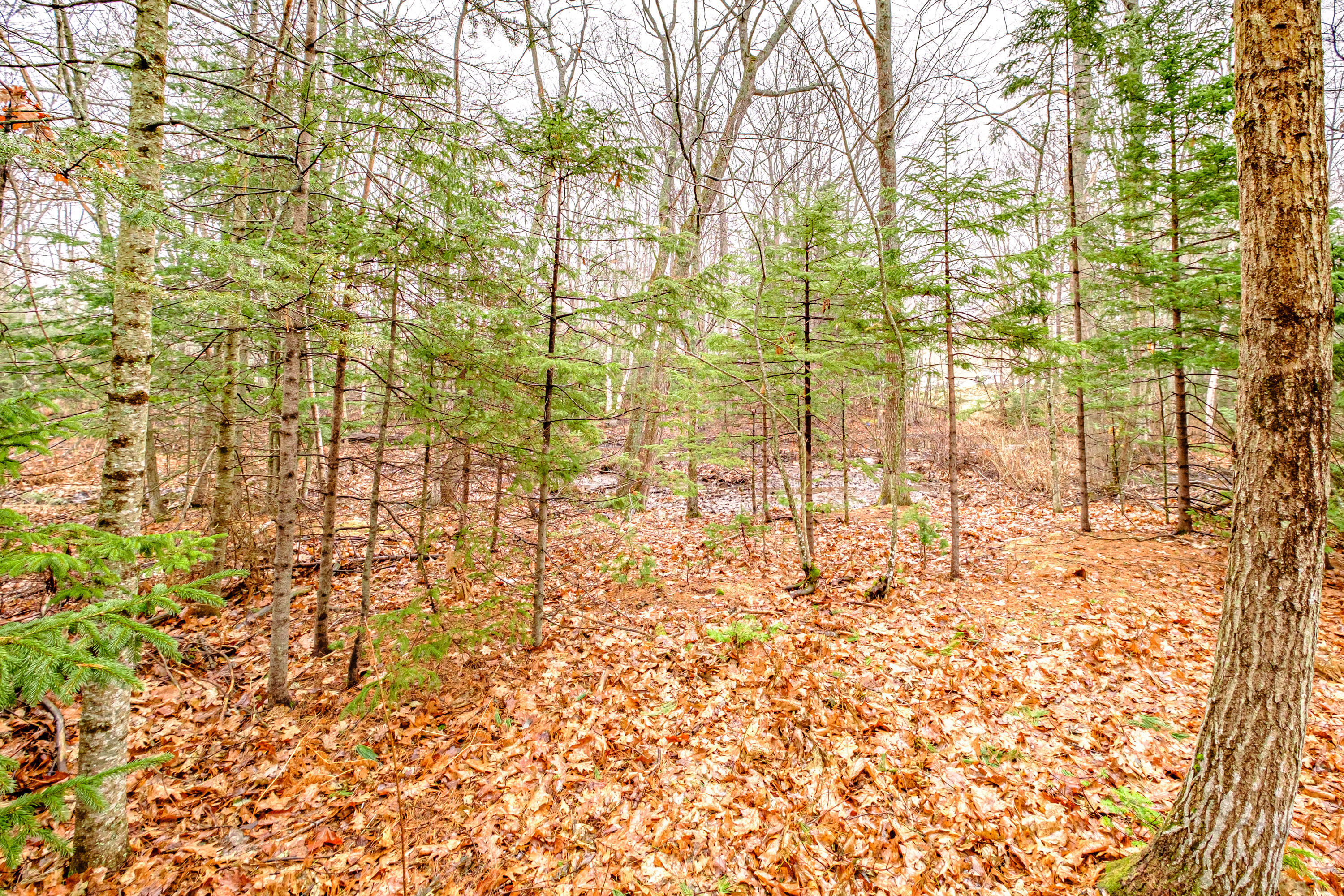 78 Snowberry Drive South Portland ME 04106