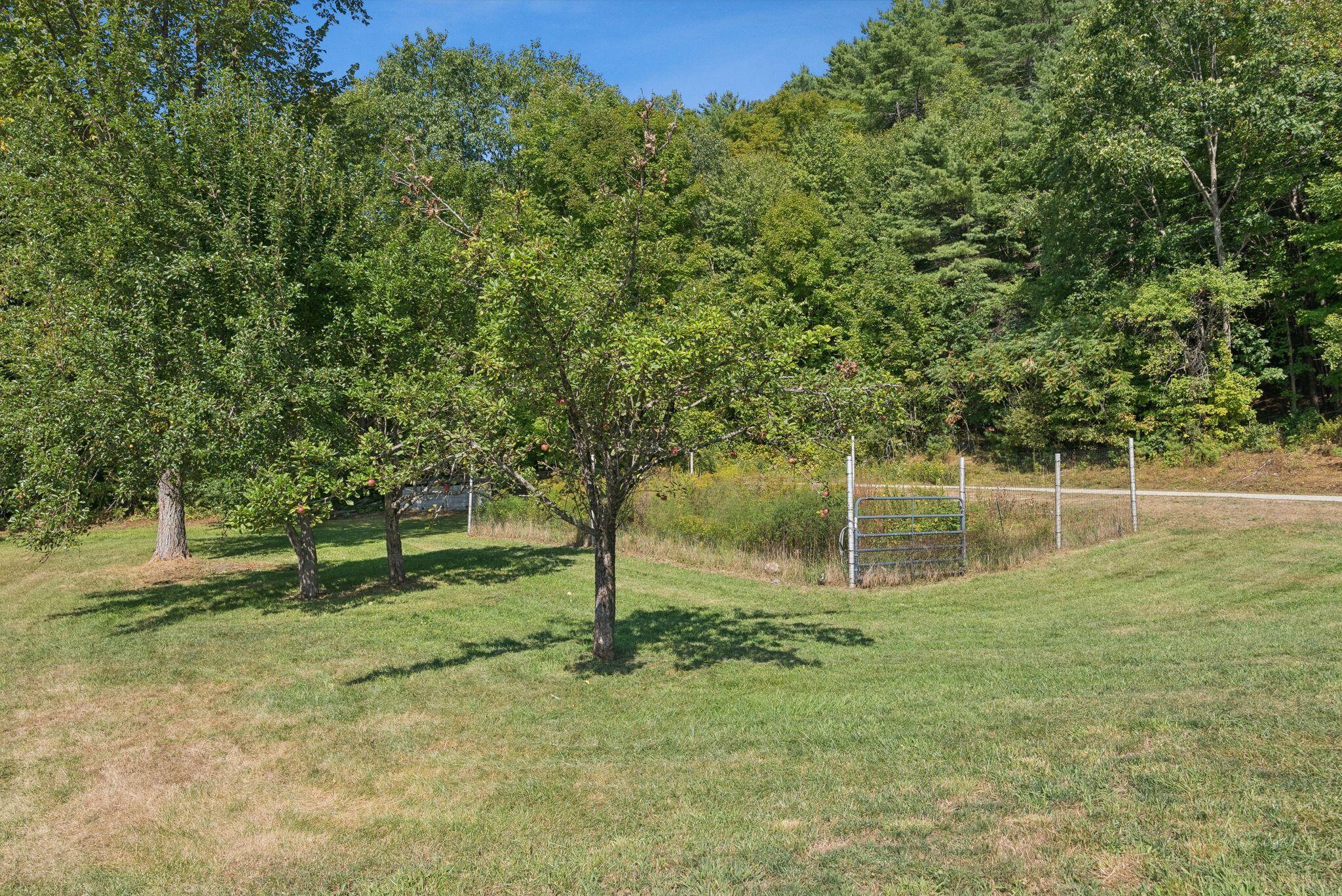 43 Morse Road Greenwood ME 04255