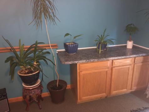 5 Cranberry Lane Poland ME 04274
