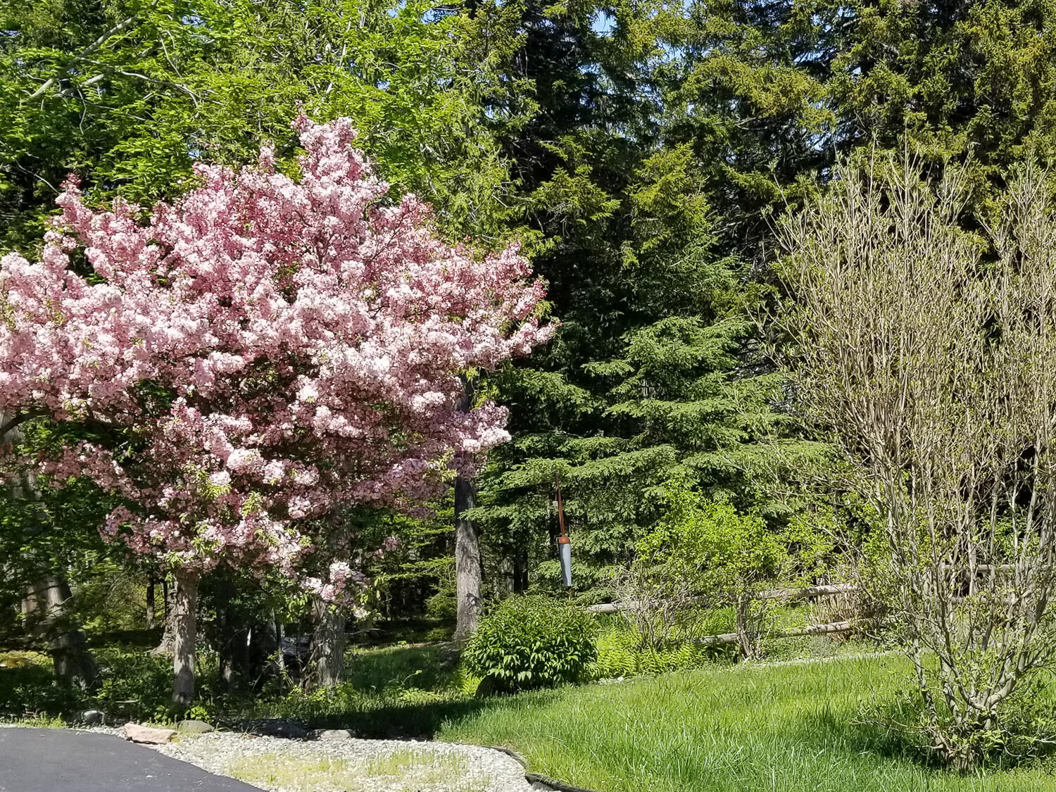 17 Mayflower Lane Bar Harbor ME 04609