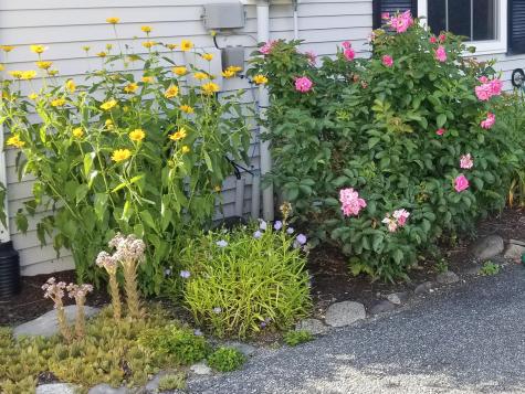 17 Mayflower Lane Bar Harbor ME 04609