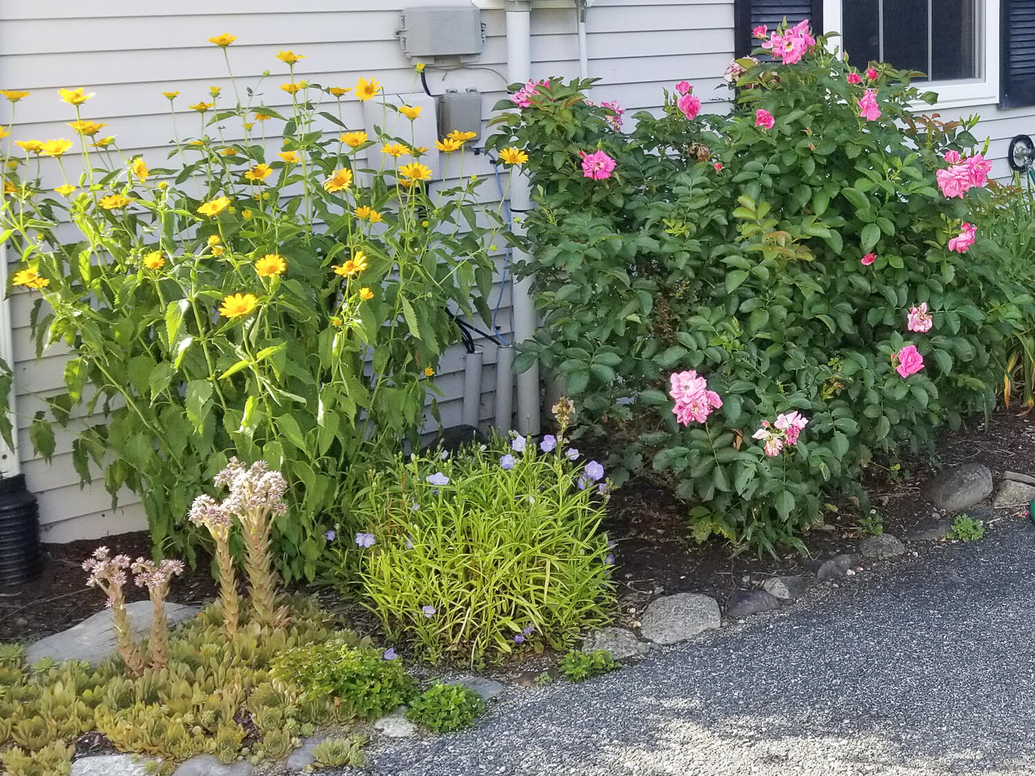 17 Mayflower Lane Bar Harbor ME 04609