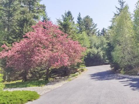 17 Mayflower Lane Bar Harbor ME 04609