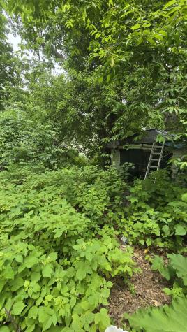 934 High Street Bath ME 04530