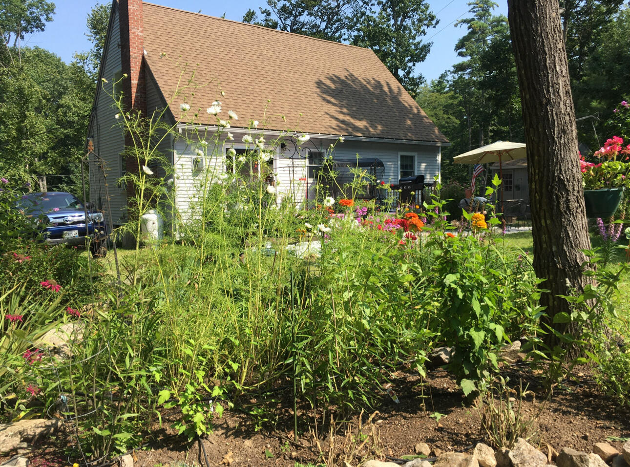 355 Asbury Lane Acton ME 04001