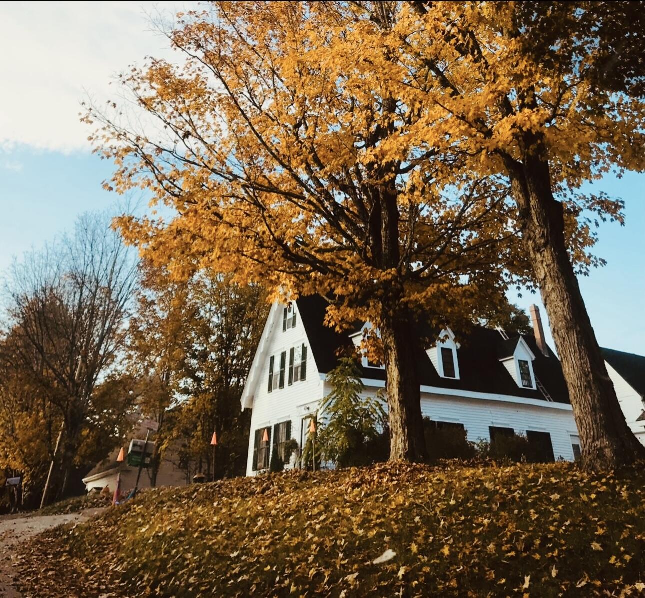 29 Fish Point Road Orland ME 04472