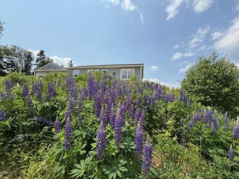 100 Us-1 Robbinston ME 04671