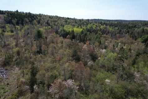 100 Us-1 Robbinston ME 04671