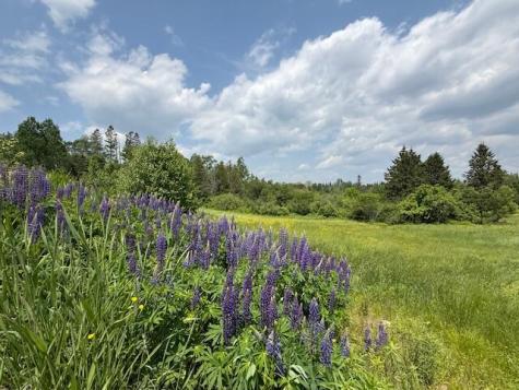 100 Us-1 Robbinston ME 04671