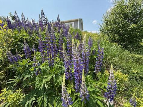 100 Us-1 Robbinston ME 04671