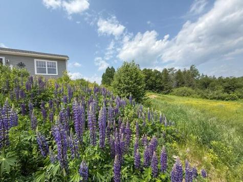 100 Us-1 Robbinston ME 04671