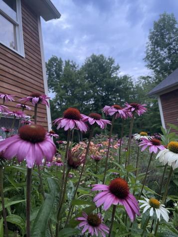 99 Birchwood Lane Carmel ME 04419