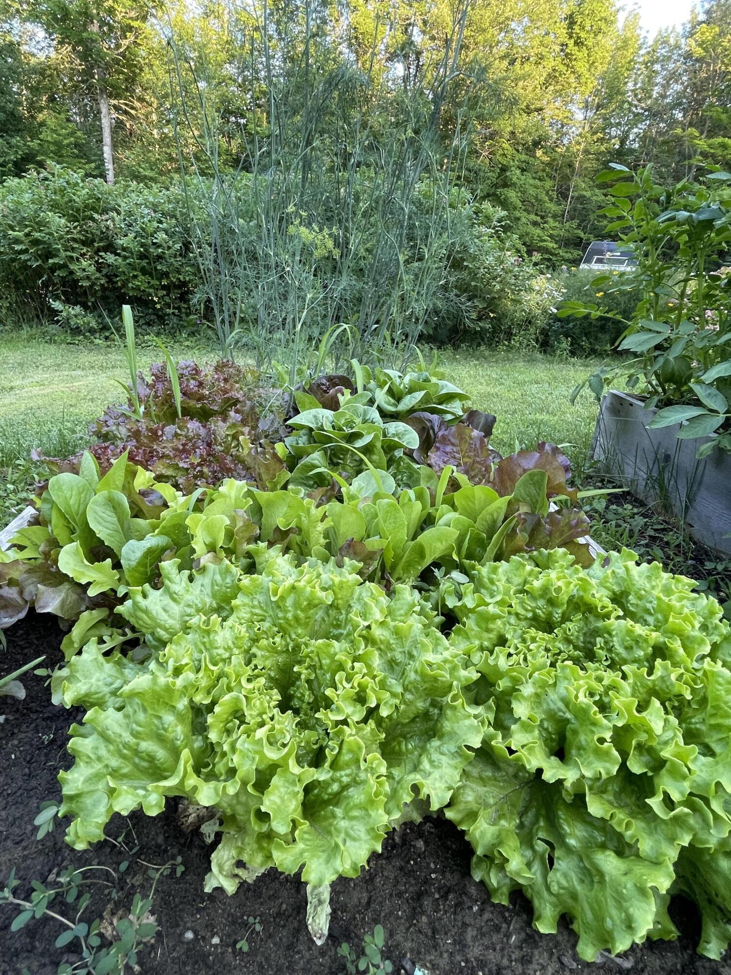 99 Birchwood Lane Carmel ME 04419