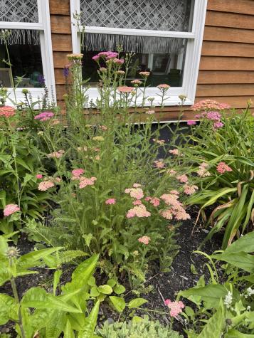 99 Birchwood Lane Carmel ME 04419