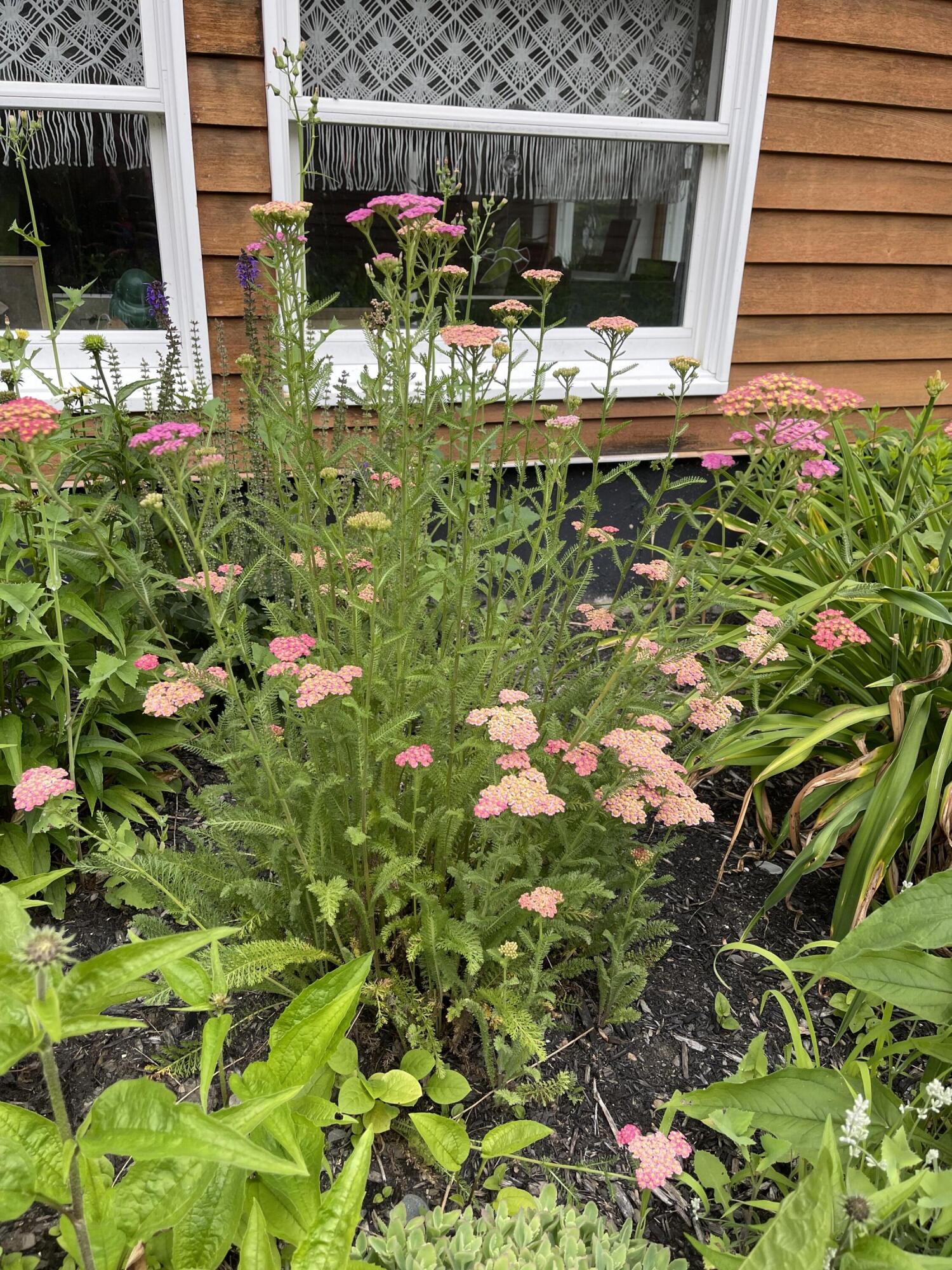 99 Birchwood Lane Carmel ME 04419