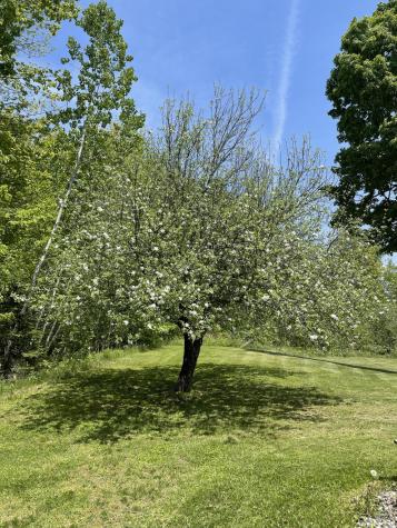 99 Birchwood Lane Carmel ME 04419