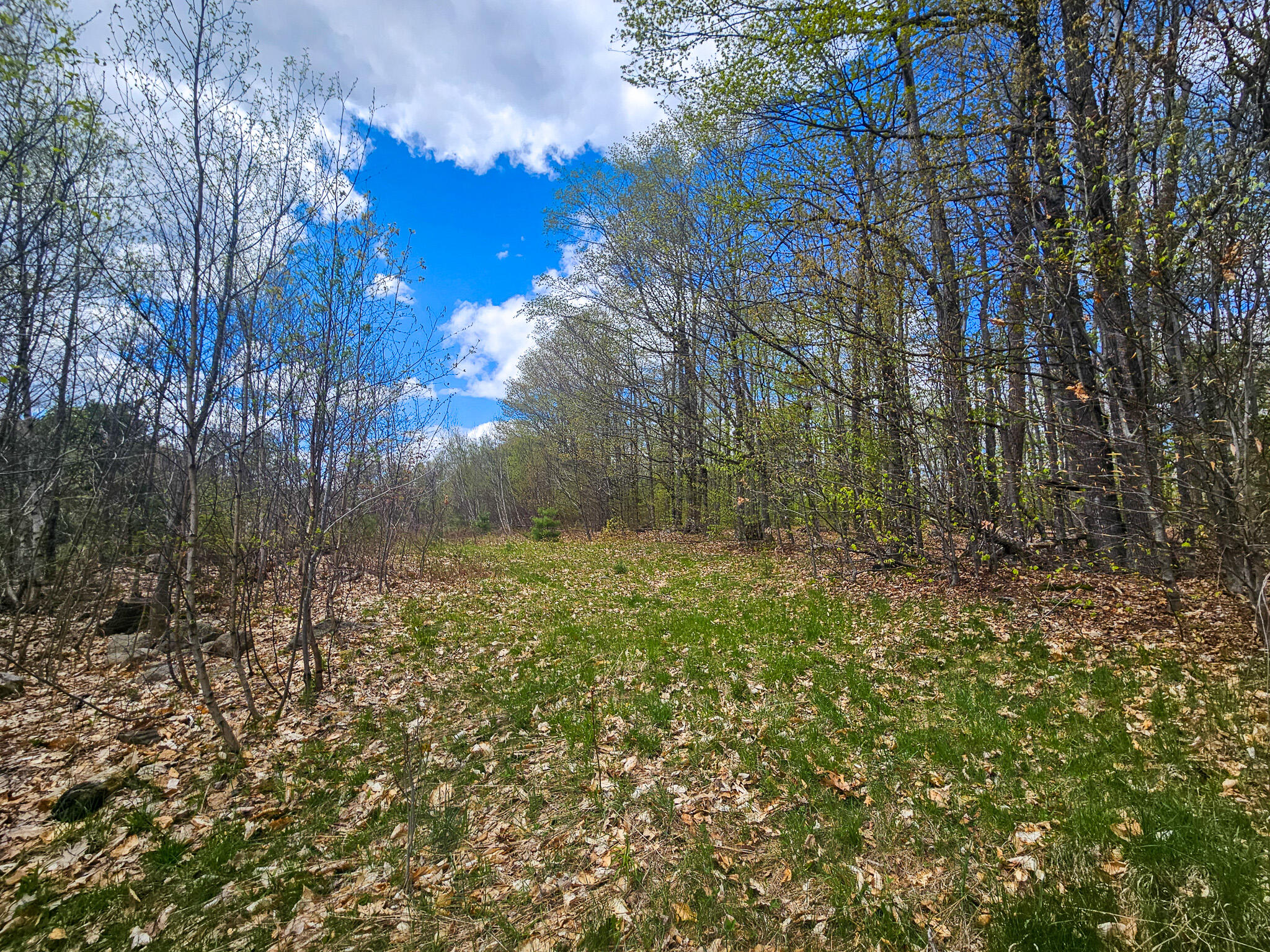 451 Morse Hill Road Jay ME 04239
