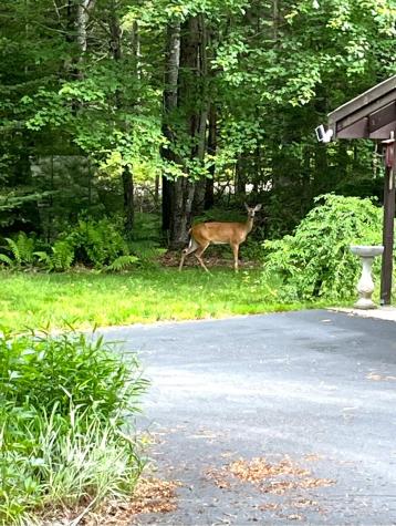 1523 North Road North Yarmouth ME 04097