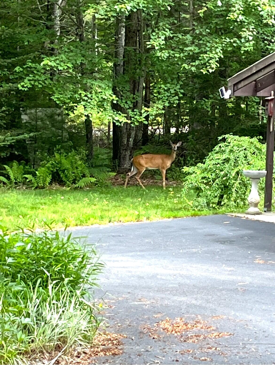 1523 North Road North Yarmouth ME 04097