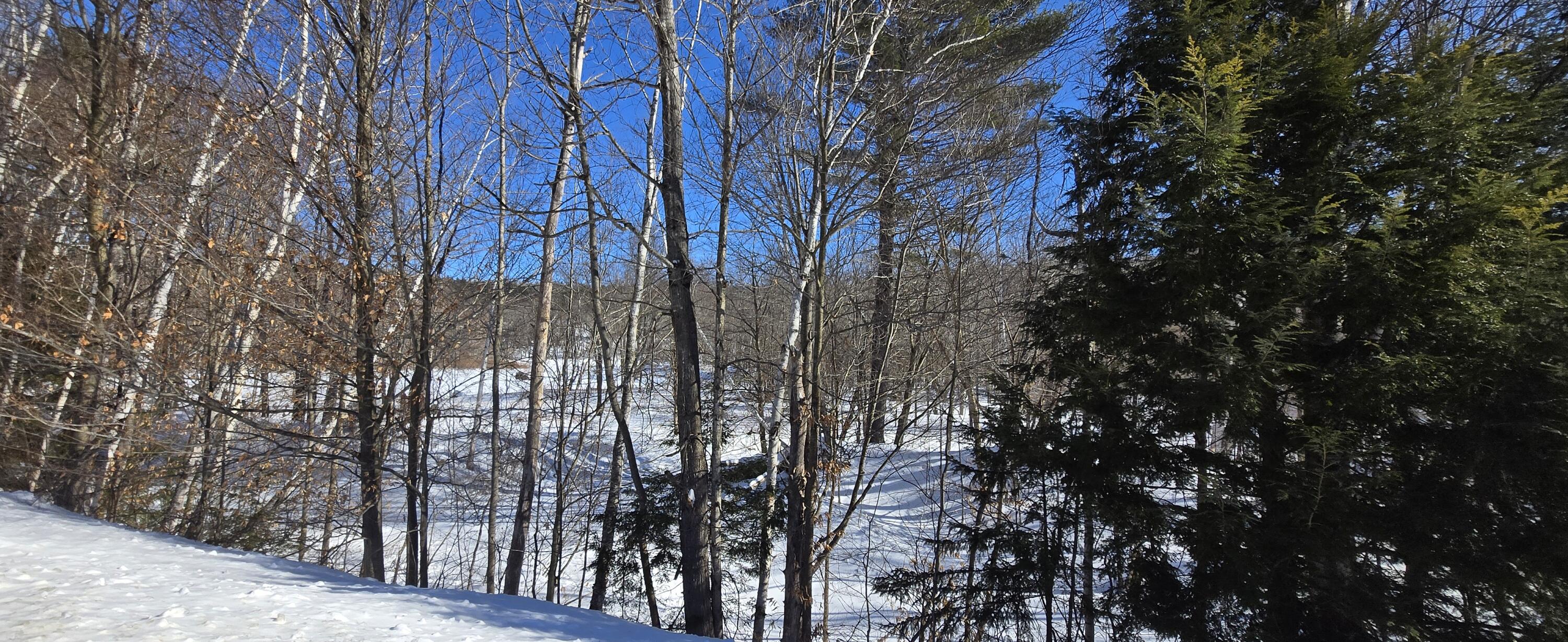 281 Swift River Road Mexico ME 04257