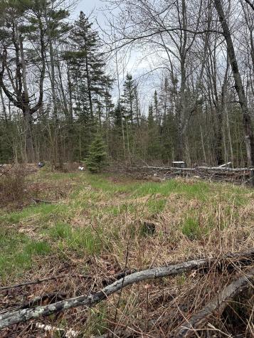 266 Willey District Road Cherryfield ME 04622