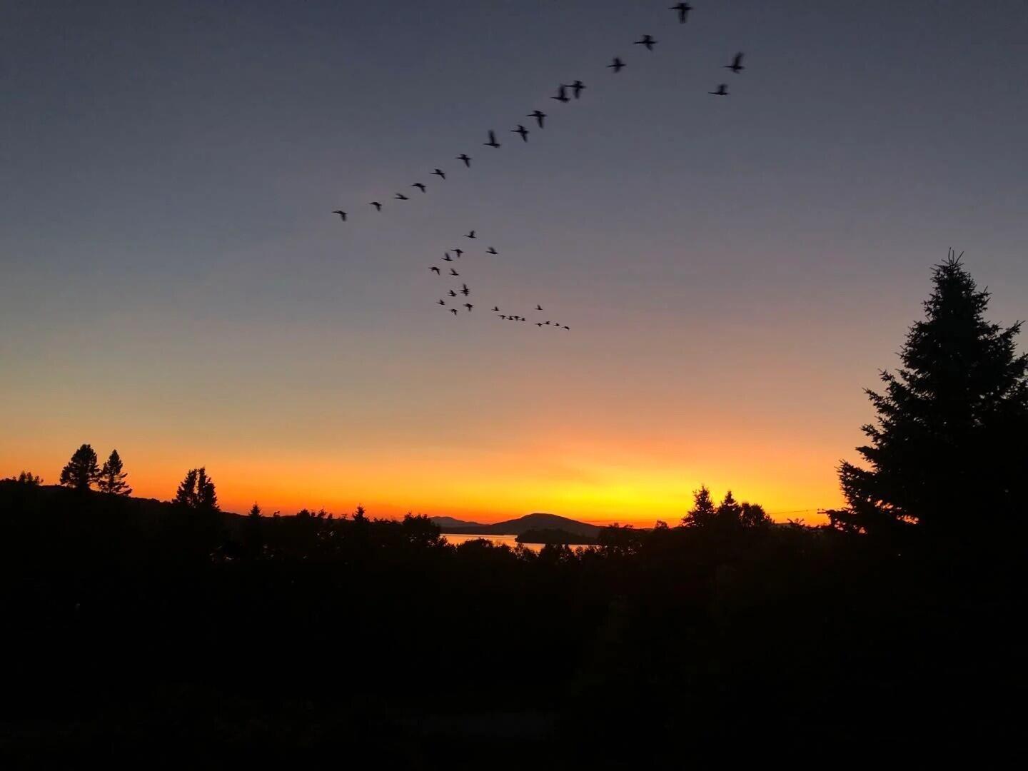 11 Overlook Road Rangeley ME 04970