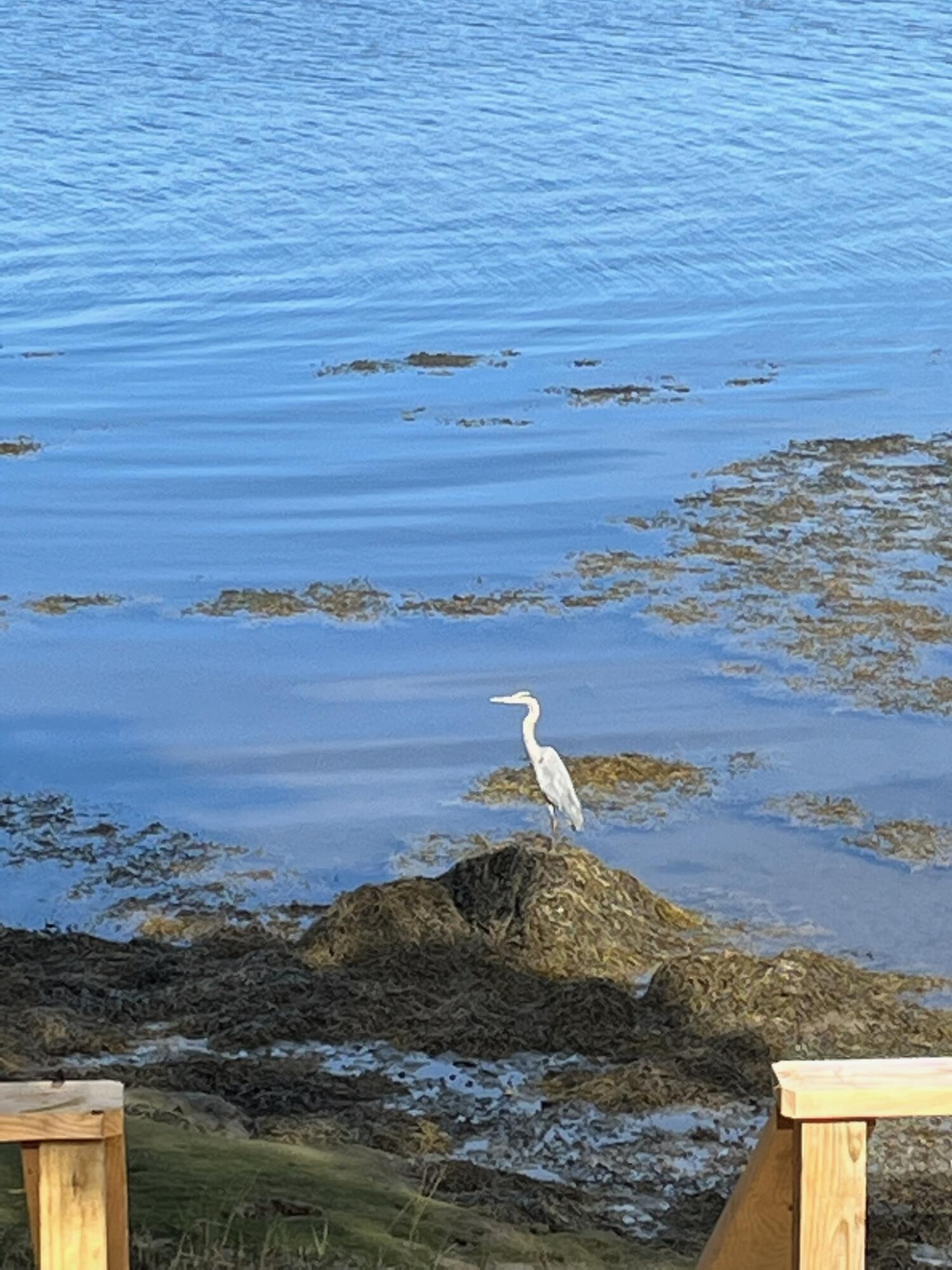 114 Fort Road Edgecomb ME 04556