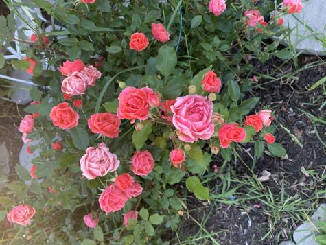 61 Granite Street Bath ME 04530