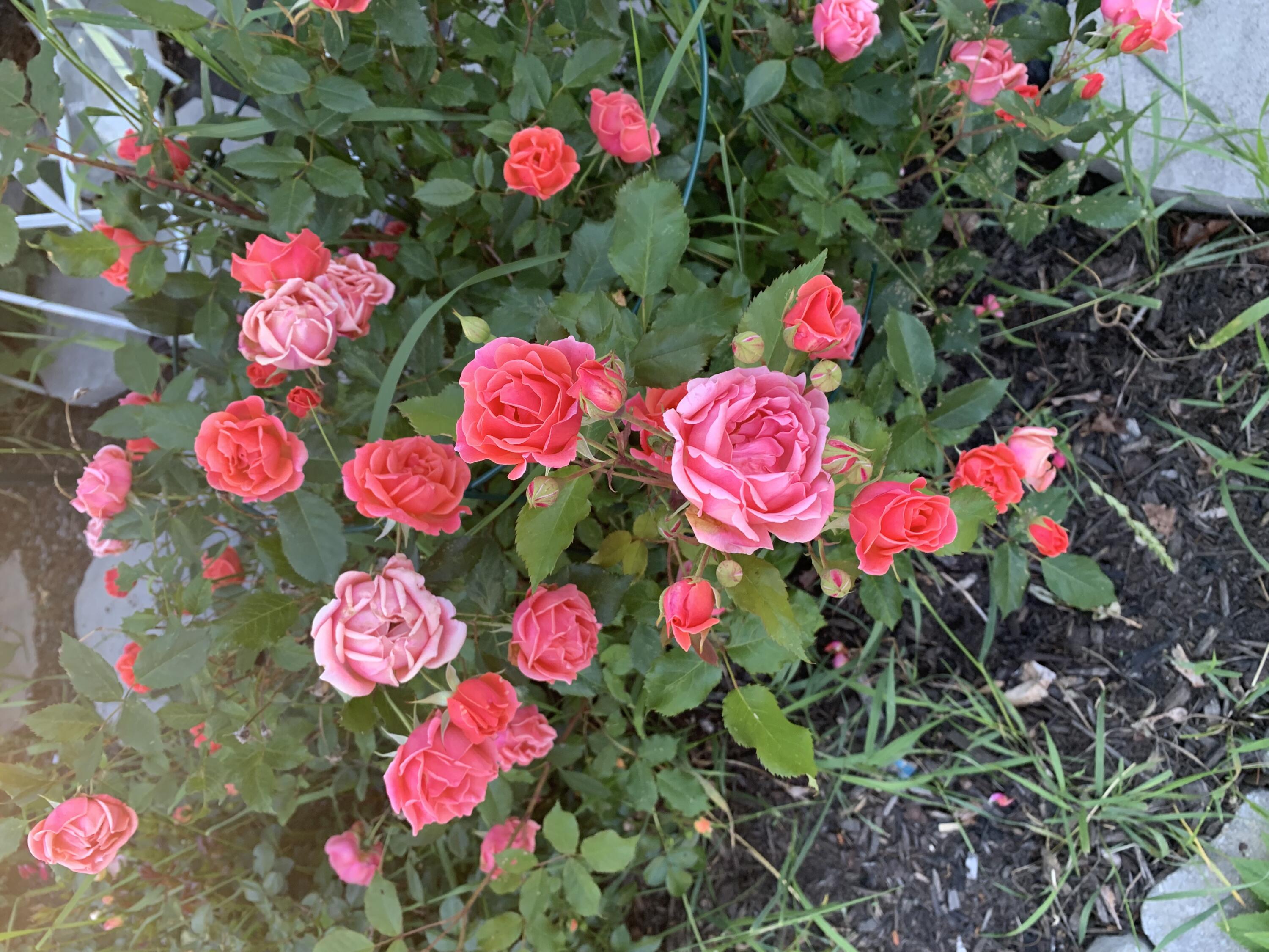 61 Granite Street Bath ME 04530