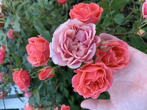 61 Granite Street Bath ME 04530