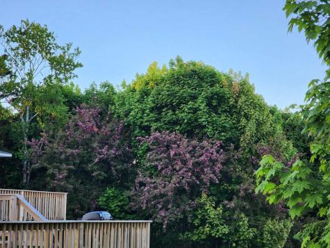 46 S Lubec Road Lubec ME 04652