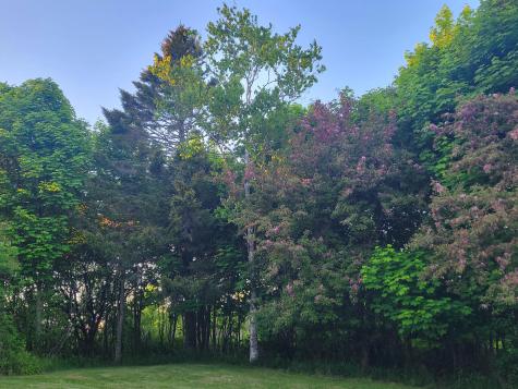 46 S Lubec Road Lubec ME 04652