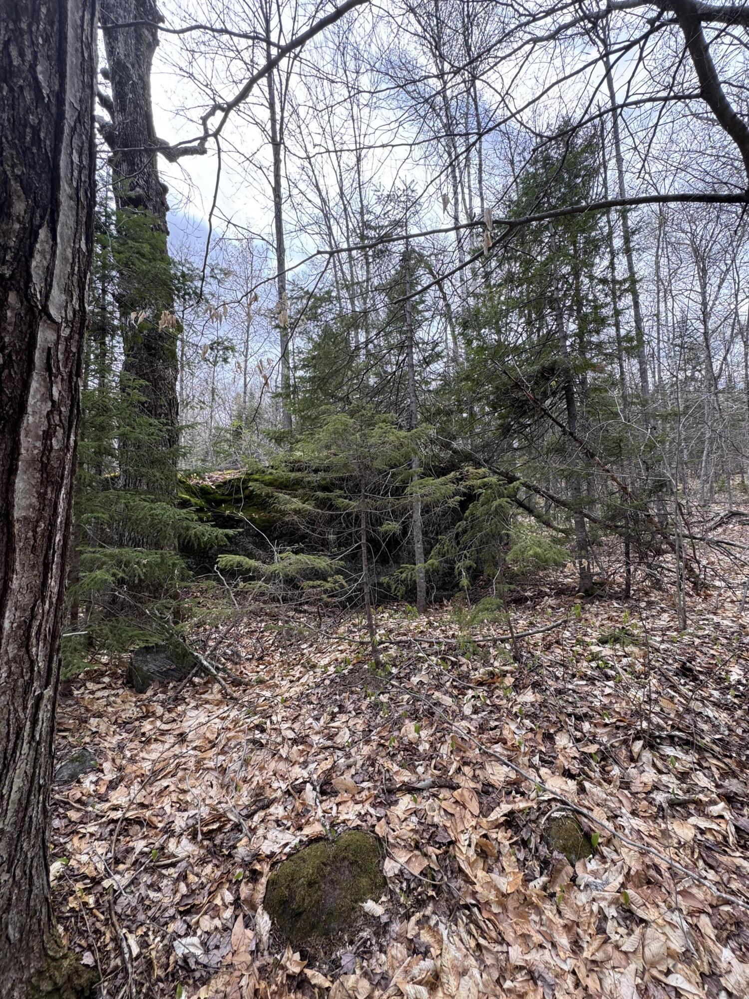 141 Tufts Pond Road Kingfield ME 04947